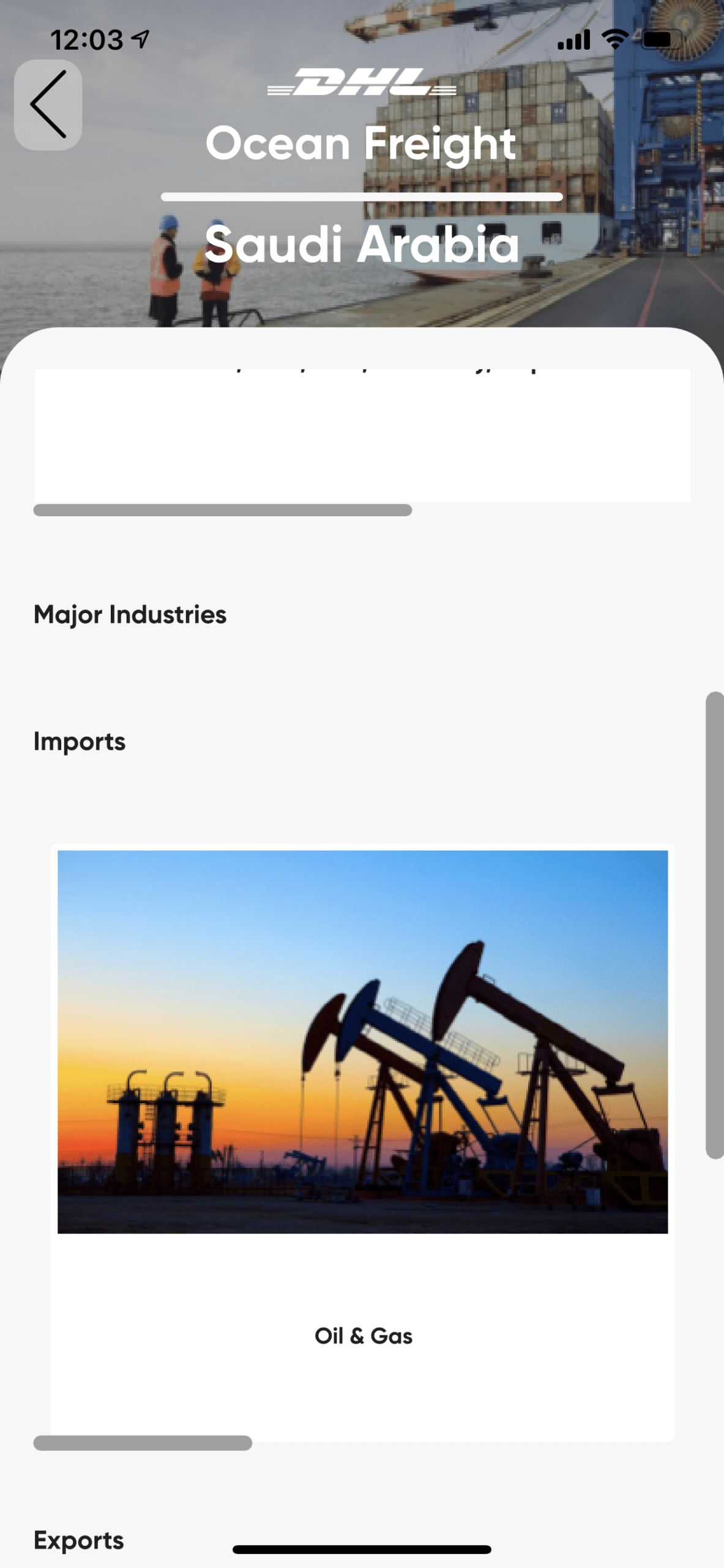 DHL Explore MEA mobile app interface showcasing regional logistics data on a smartphone.